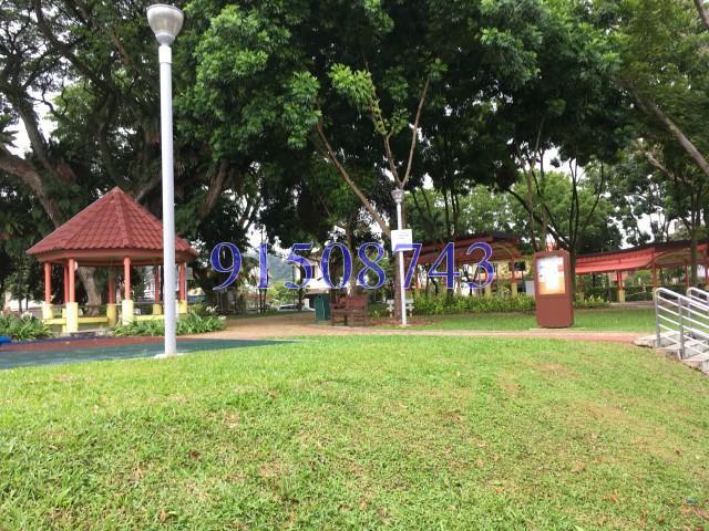 Hoover Park (D21), Terrace #151005722